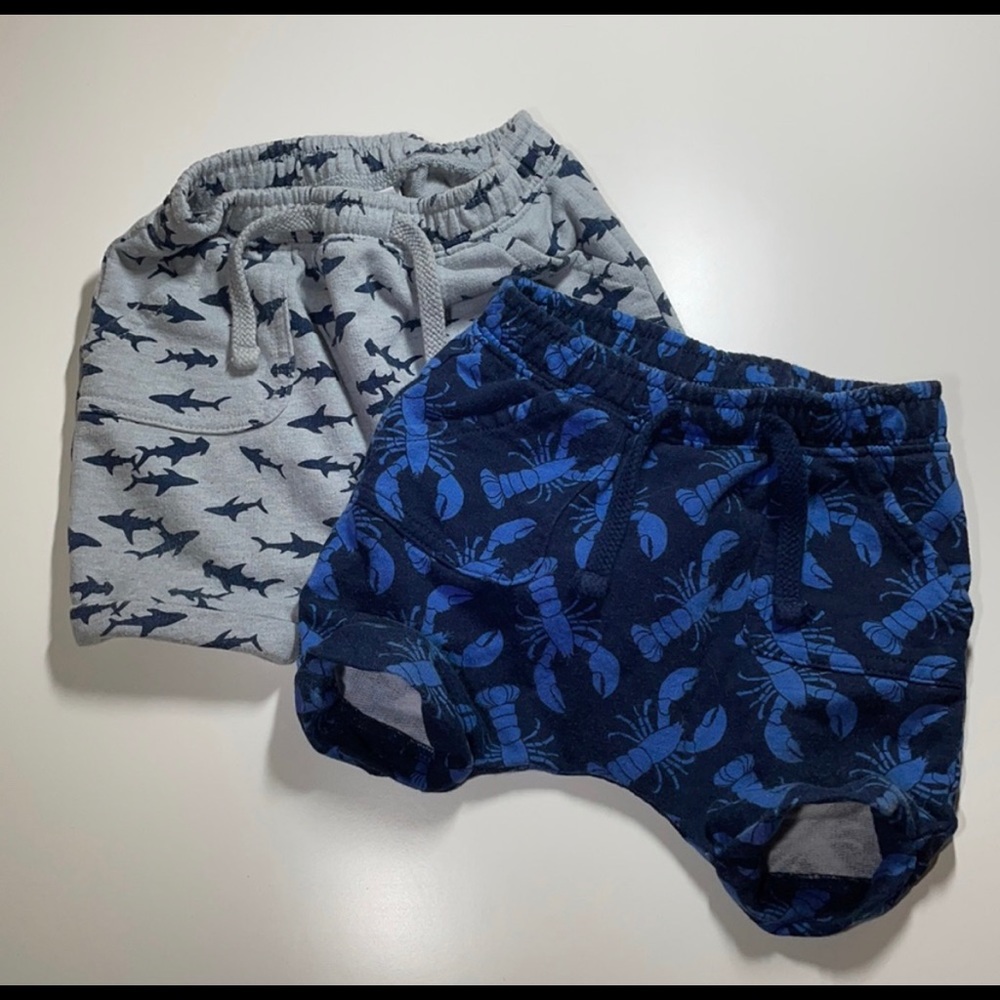 **bundle** - Picture 3 of 6